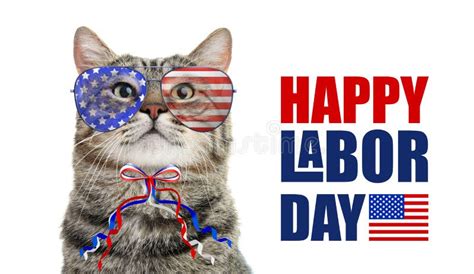 508 Labor day cat Images, Stock Photos & Vectors