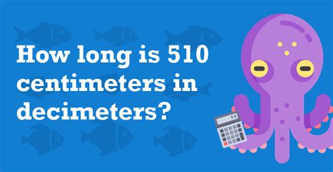 510 In Centimeters