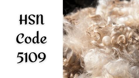 5109 Halı ve Koltuk Yıkama