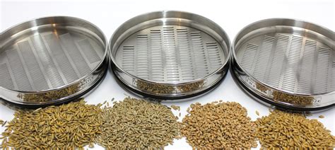 5223 Halı ve Koltuk Yıkama