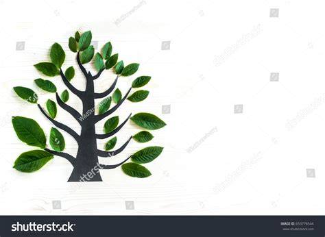 53,730,374 Tree Royalty-Free Images, Stock Photos - raincitystudios.com