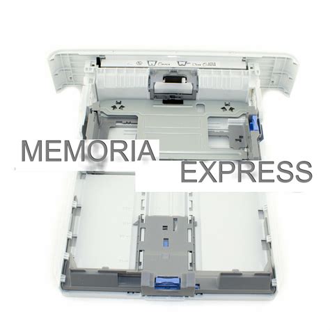 5392 4D: The Ultimate Guide to Finding Responsible Papillon Puppy Breeders image 1