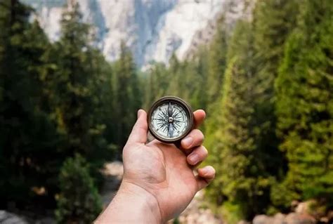55 Best Compass Quotes To Steer You In The Right Direction.