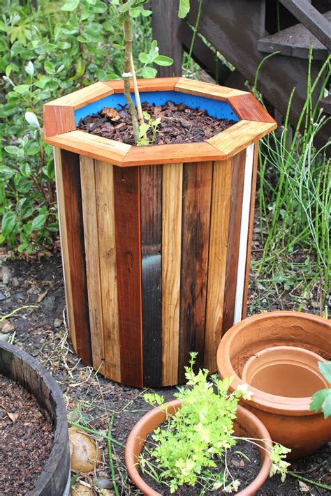 Aug 7, 2020 - Stylish and Low Cost 55 Gallon Drum Planters: I wanted to build some simple, low cost & attractive containers for a few fruit trees that were ready to be replanted in my backyard. Using second hand 55 gallon food safe plastic barrels and some scrap wood that I cleaned up on the p…. 