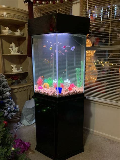 55 gallon hexagon fish tank. Things To Know About 55 gallon hexagon fish tank. 