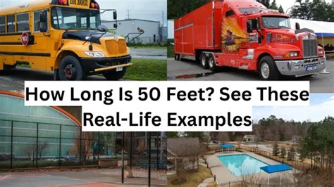 55 In Feet