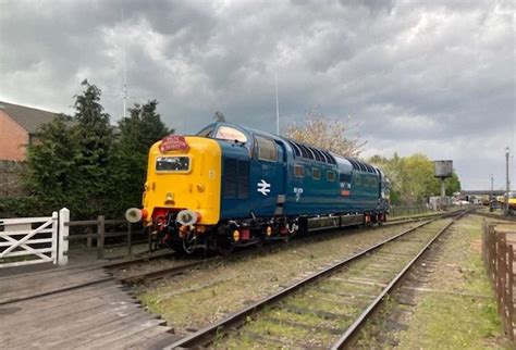 55009 Halı ve Koltuk Yıkama