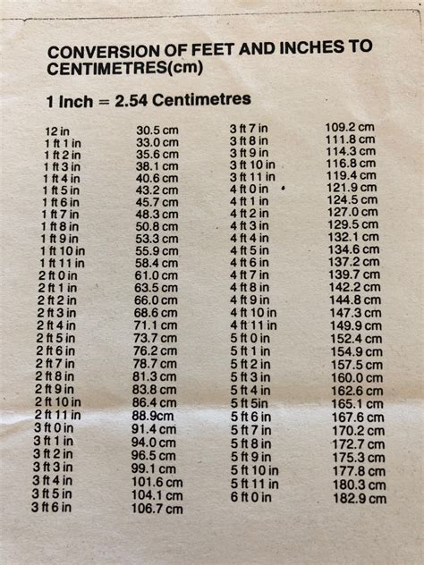 55cm To Feet