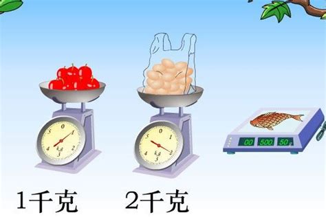 56公斤是多少斤 - 百度知道