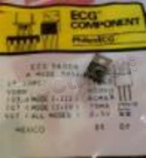 56006 Halı ve Koltuk Yıkama