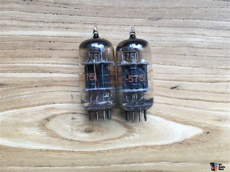 5751 Halı ve Koltuk Yıkama