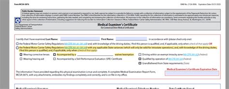 5875 Halı ve Koltuk Yıkama