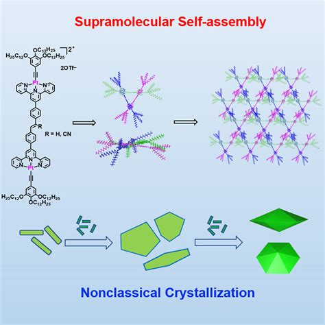 59480 PDFs | Review articles in SUPRAMOLECULAR CHEMISTRY - wintechmobiles.com