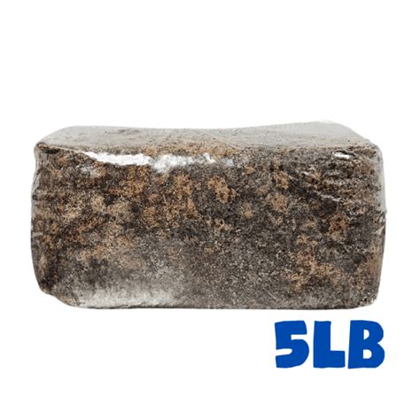 5lb Mushroom Masters Mix Sterile Substrate Bag - raincitystudios.com