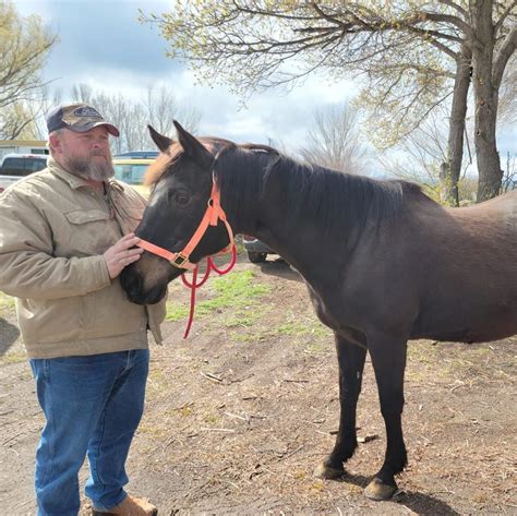 5P Hobby Ranch Blackfoot ID - Facebook