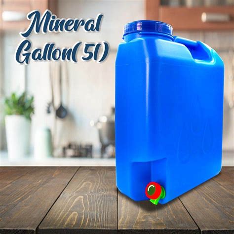 5l In Gallons