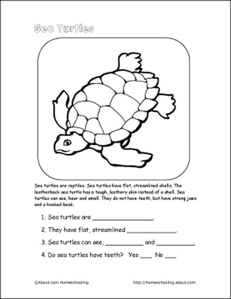 5th Grade Animals Worksheets Turtle Diary Turtle Submarine 5th Grade Worksheet - Turtle Submarine 5th Grade Worksheet