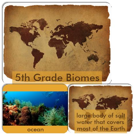 5th Grade Biomes Match The Memory Biomes 5th Grade - Biomes 5th Grade