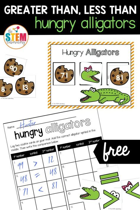 5th Grade Lesson Plan Alligators Florida 039 S 5th Grade Lessons - 5th Grade Lessons