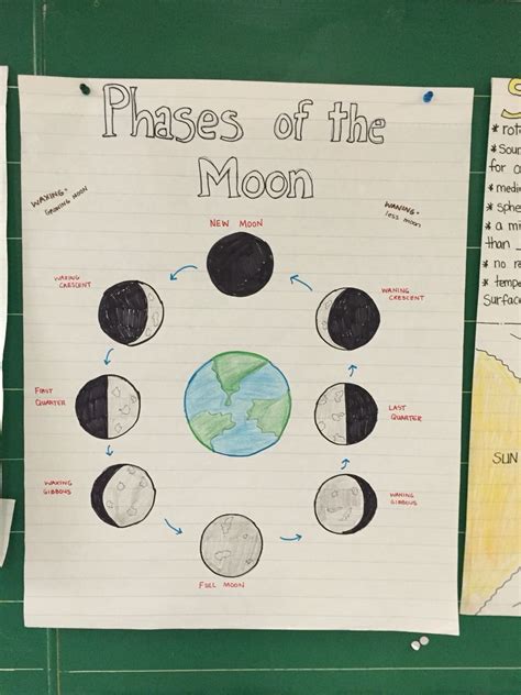 5th Grade Moon Phases The Pensive Sloth Phases Of The Moon 5th Grade - Phases Of The Moon 5th Grade