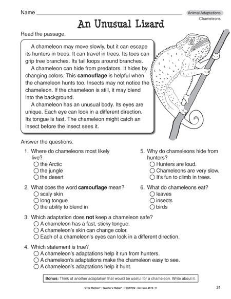 5th Grade Science Adaptation Worksheets Teacher Worksheets Science Adaptation Worksheet 5 Grade - Science Adaptation Worksheet 5 Grade