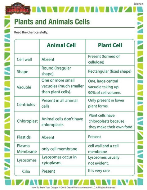5th Grade Science Animal And Plant Cell Worksheets Cell Worksheet For 5th Grade - Cell Worksheet For 5th Grade