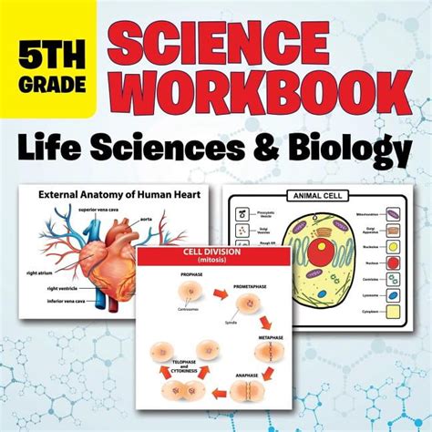 5th Grade Science Workbook For Kids 5 Grade Science Book - 5 Grade Science Book