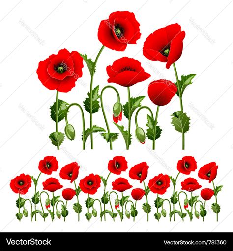 6,400+ Poppy Flower Graphic Illustrations, Royalty-Free Vector