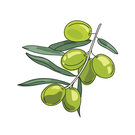 6,401 Olive Cartoons Illustrations & Clip Art - iStock