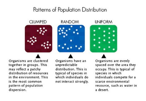 6 17 Population Size Density And Distribution Biology Population Density Worksheet Biology - Population Density Worksheet Biology