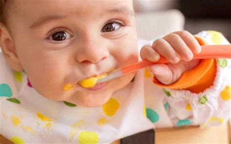 6 Aylık Bebek Beslenmesi – Yemek Tarifleri.
