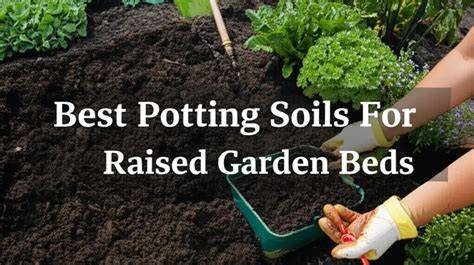 6 Best Potting Soils (2026 Guide) - This Old House - raincitystudios.com