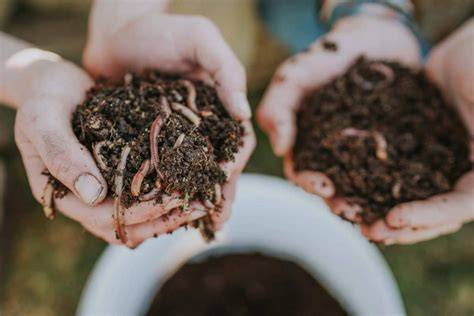 6 Best Worm Composters Reviewed in Detail (Spring … - raincitystudios.com