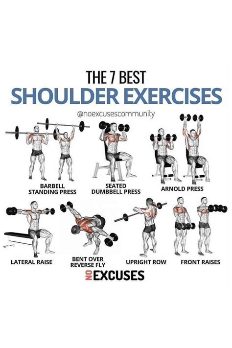 6 Best Back and Shoulder Exercises with Weights