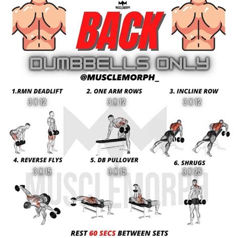 6 Best Dumbbell Back Exercises And Workouts