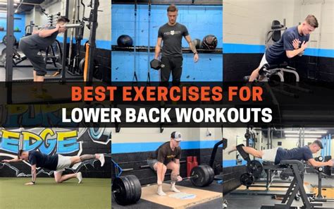 6 Best Lower Back Exercises for Beginners