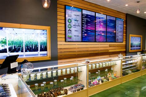 6 Best Marijuana Dispensaries in CT