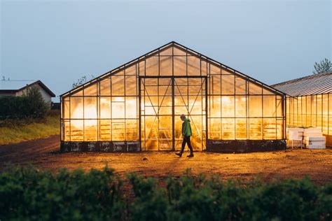 6 Best Types of Greenhouse Structures - Pure Home Improvement