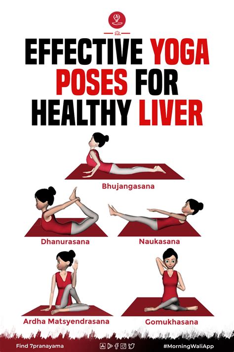 6 Best Yoga Exercises to Improve Liver Function