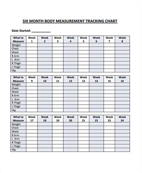6 Body Measurement Chart Template Download Excel Templates