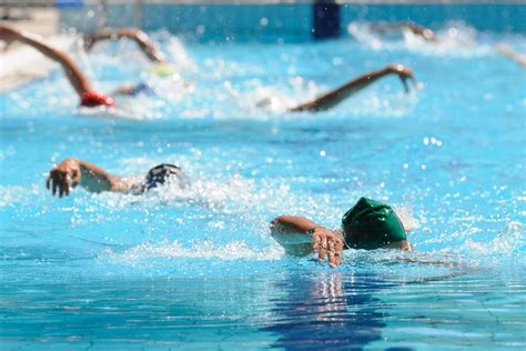 6 Common Swimming Myths (With images) Freestyle swimming, Swimming