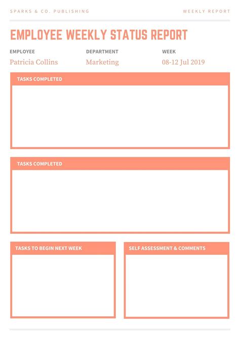 6 Customizable Weekly Report Template SampleTemplatess SampleTemplatess