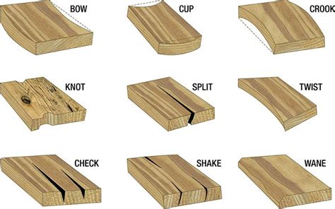 6 Defects in Timber