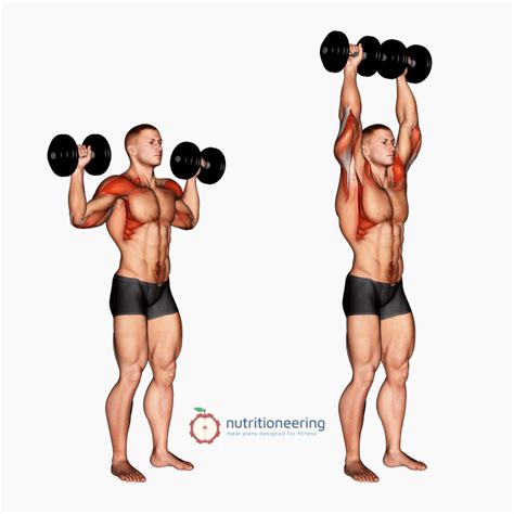 6 Dumbbell Shoulder Press Variation Exercises to Build Upper Body Strength
