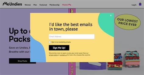 6 Eye-Catching Popup Overlay Examples You Can Use …