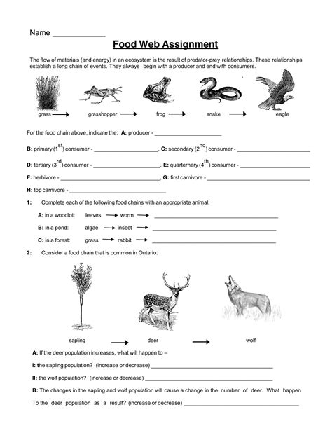 6 Food Web Assignment pdf