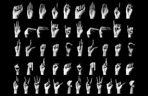 6 Free Ways to Practice Sign Language Online in 2022 Sign language