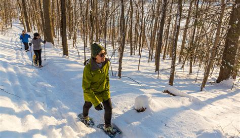 6 Fun Activities to do in the Wintertime Across the Country​