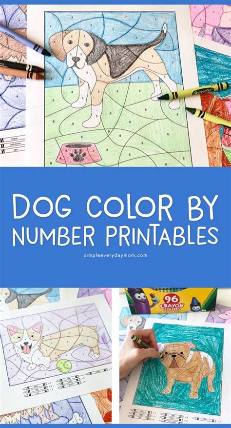 6 Fun Color By Number Dog Printables