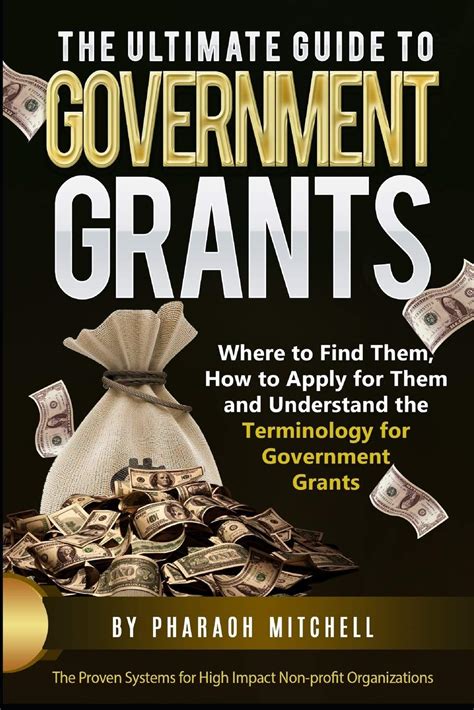 6 Goverment Grant